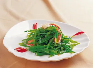 LCH0083碧绿北极贝