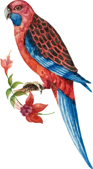 简约风手绘素描动画小鸟鸟儿免扣PNG图片素材 (12)