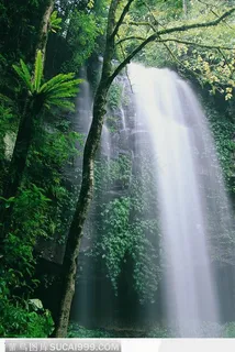飞流直下的瀑布