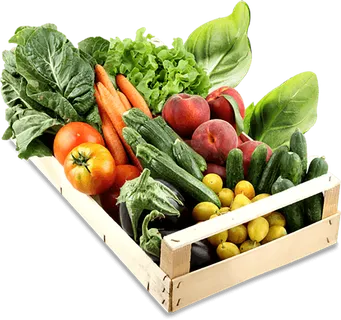 现代农业瓜果蔬菜