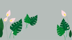 电脑壁纸小清新