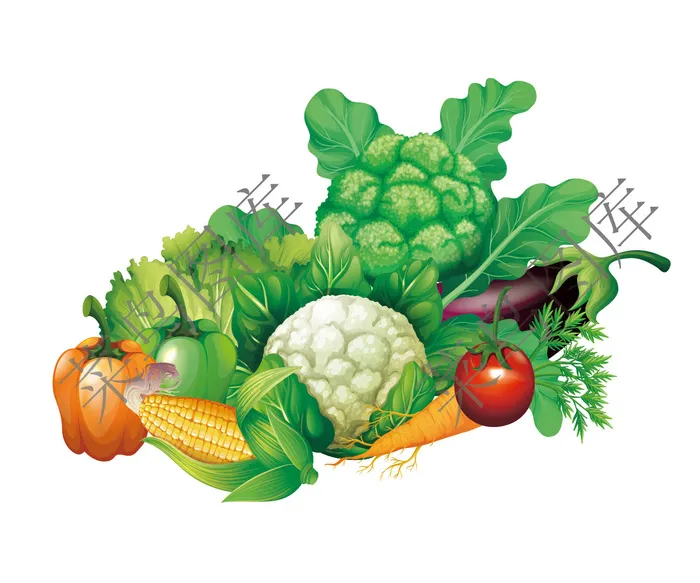 多种类蔬菜高清图_画板 1psd模版下载