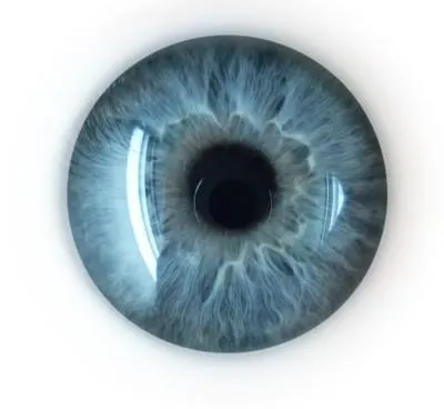 眼睛 PNG免抠(400x368)