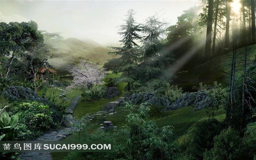 绿色丛林风景图片