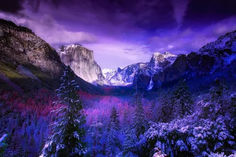冬天白色背景风景 冬天白色背景风景