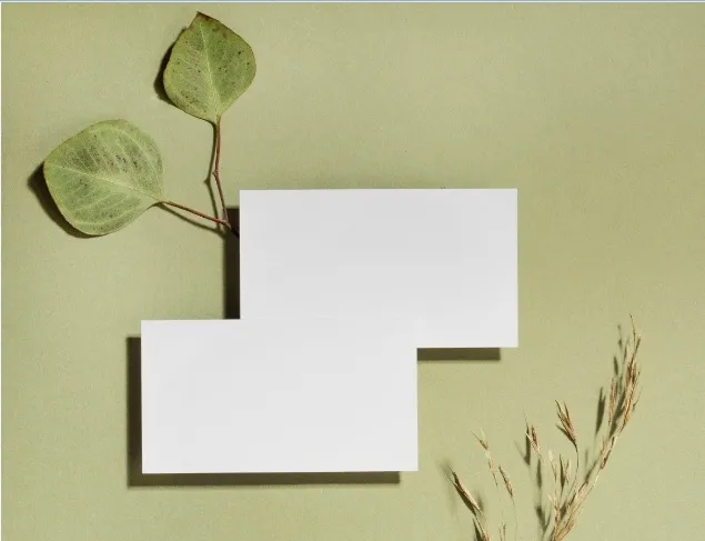 设计现代名片样机绿色背景psd模版下载