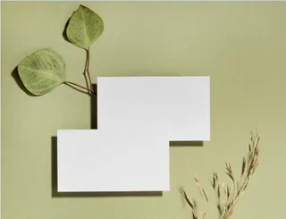 设计现代名片样机绿色背景