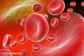 病毒细菌生物研究高清图片