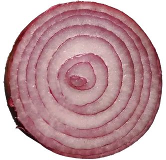 切开洋葱碎末圆葱红葱免抠摄影实拍实物元素素材