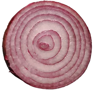 切开洋葱碎末圆葱红葱免抠摄影实拍实物元素素材