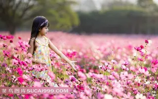 花丛中的可爱小女孩儿图片