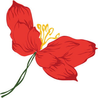 红色水仙花装饰