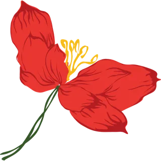 红色水仙花装饰