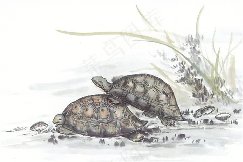 国画鱼虾蟹龟大图美图素材