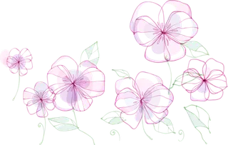 卡通手绘紫色透明花