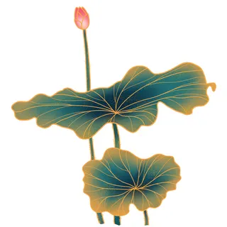 国潮中国风手绘荷花莲花荷叶莲藕植物花卉装饰插画PSD设计素材