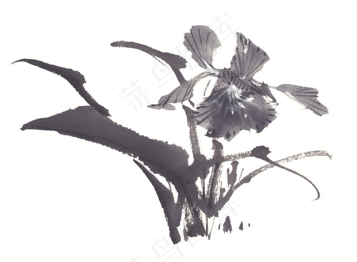 写意花卉美术绘画摄影图片