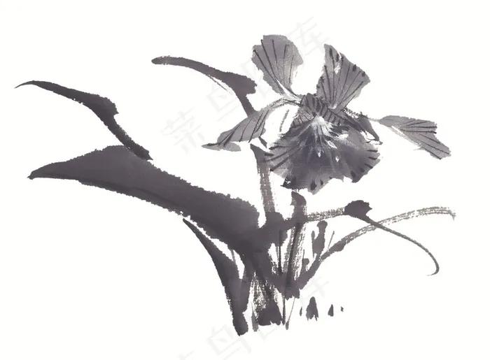 写意花卉美术绘画摄影图片