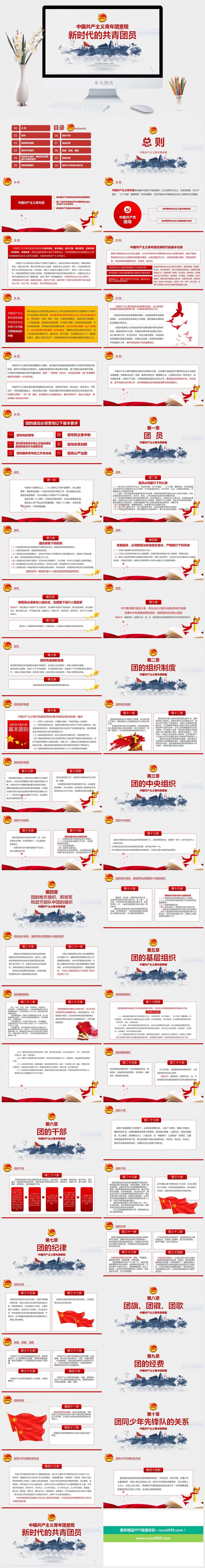 新时代共产主义青年团新章程学习PPT模板