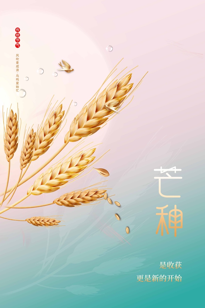 芒种 芒种海报psd模版下载