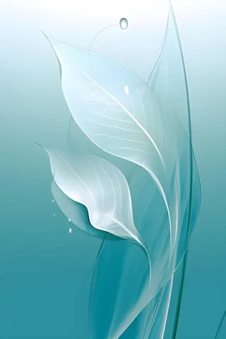 树叶露珠青色大气意境背景