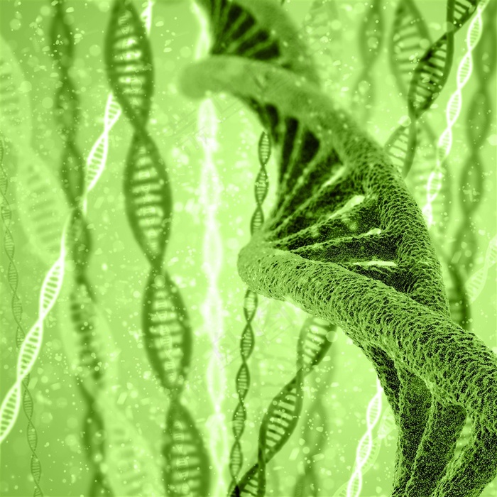 DNA和RNA结构示意高清图片