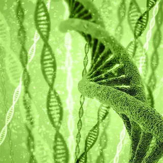 DNA和RNA结构示意高清图片