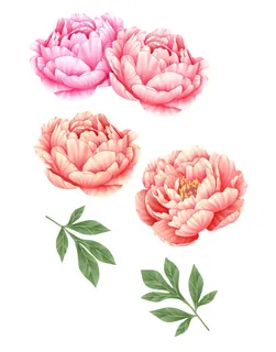 手绘国潮中国风古典牡丹花国花花卉装饰图案PSD设计素材