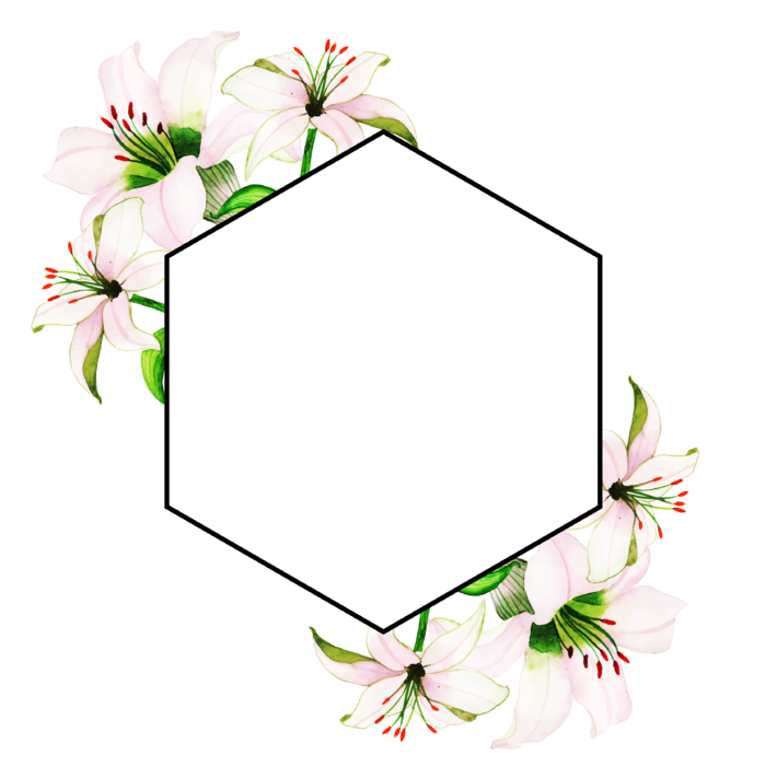 多边形边框