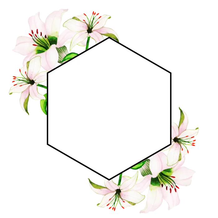 多边形边框