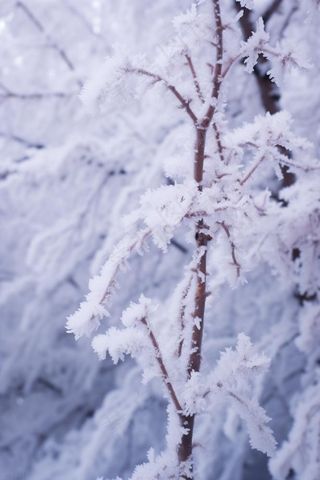 极简下雪雪景冬天背景