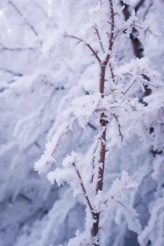 极简下雪雪景冬天背景