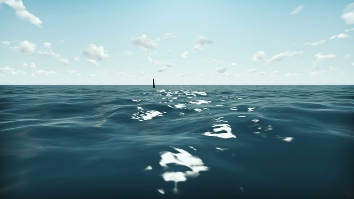 海洋中的鲨鱼， 动画