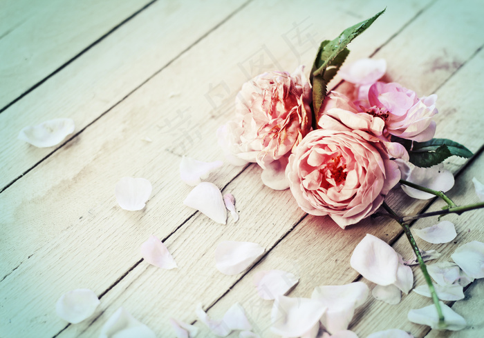 木板上的玫瑰花图片