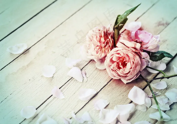 木板上的玫瑰花图片