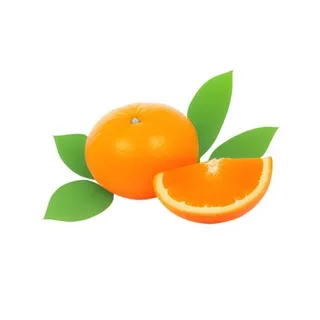 橙子橘子免抠