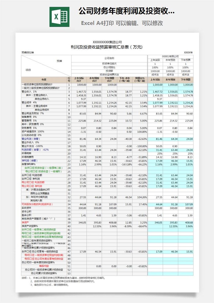 20公司财务年度利润及投资收益预算表