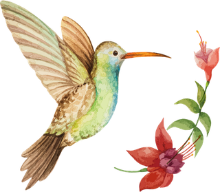 简约风手绘素描动画小鸟鸟儿免扣PNG图片素材 (15)