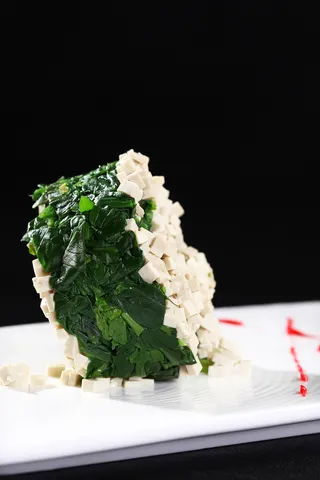 L01815春意盎然 (3)