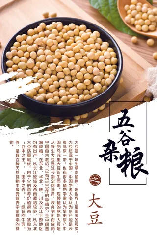 大豆五谷杂粮海报素材