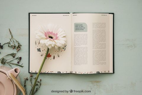 书本与花朵装扮PSD素材