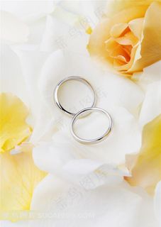 婚庆素材两枚白金戒指