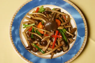 1240烧汁茶树菇_1