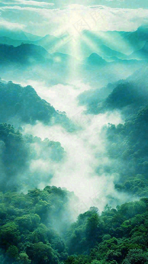 中国风高山绿植森林丛林，阳光蓝天白云，户外