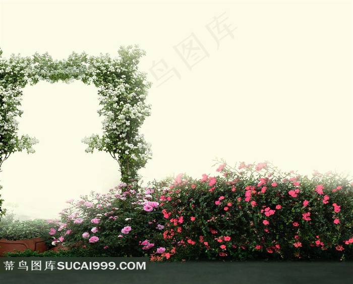 蔷薇花花门摄影背景图片