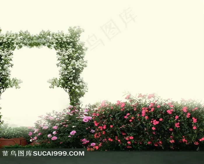 蔷薇花花门摄影背景图片