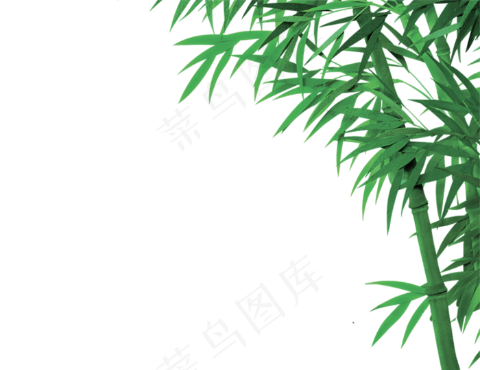 免抠实物竹子摄影图透明图层