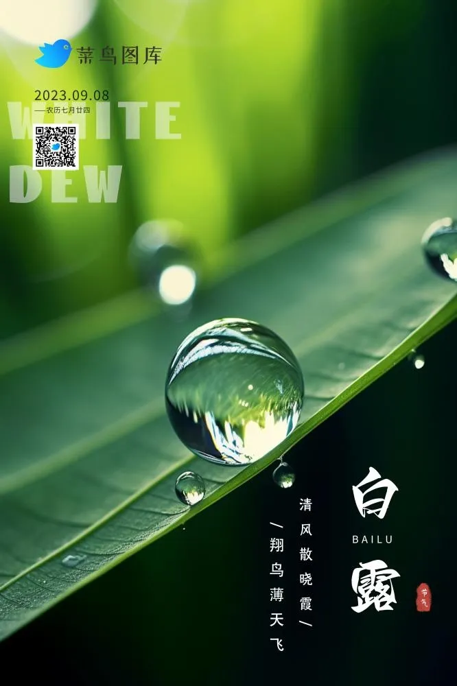 白露树叶水珠雨滴绿色清新海报(2362x3543)psd模版下载
