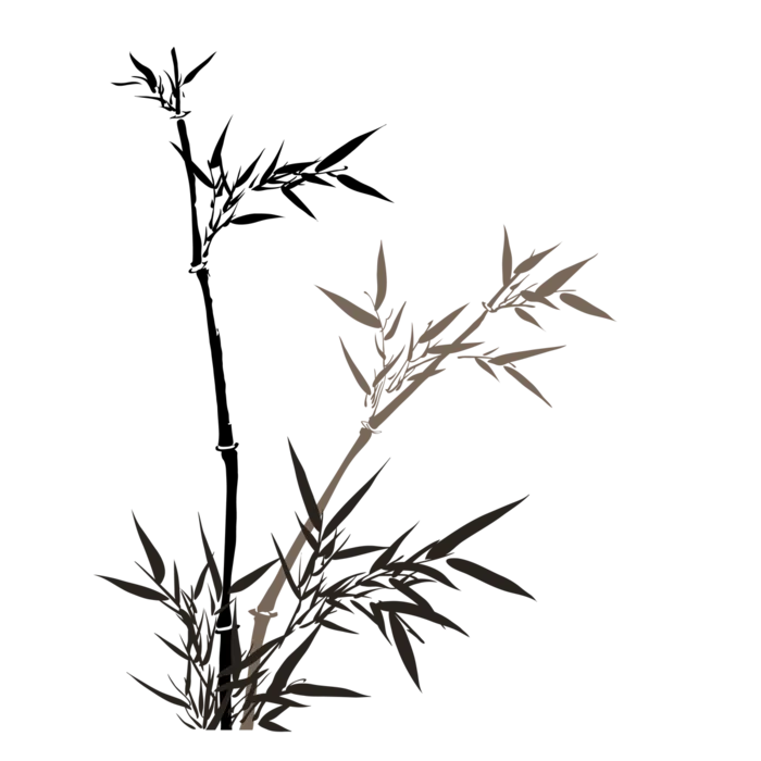 竹子水墨画中国风国画墨水书法竹子画