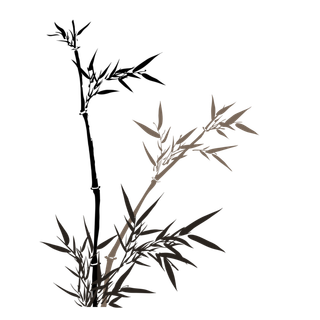 竹子水墨画中国风国画墨水书法竹子画